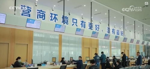 數字服務三連擊 便民暖心、助企惠企，共筑經濟發展新引擎